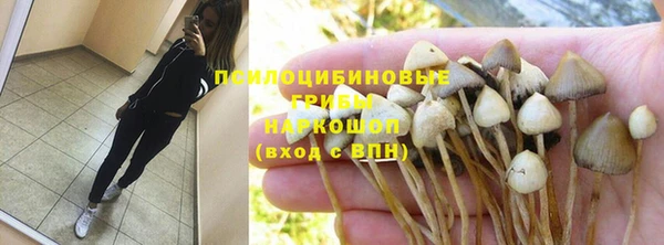 экстази Богородицк