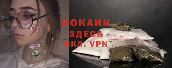 шишки Осташков