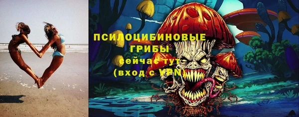 а пвп мука Бугульма