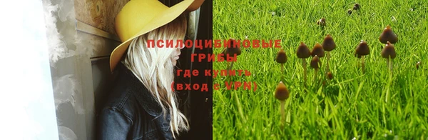 а пвп мука Бугульма