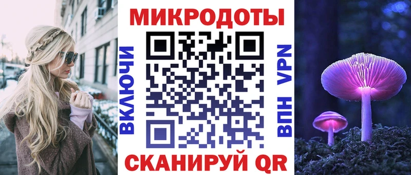Псилоцибиновые грибы Psilocybe  Верхотурье 